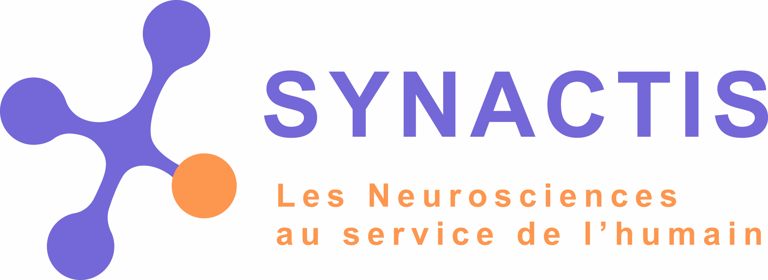 Synactis, les Neurosciences au service de l'humain